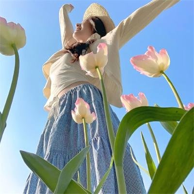 笨鸟满天飞