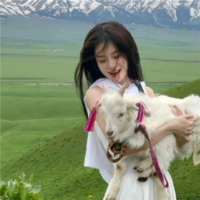 阿七遨游记
